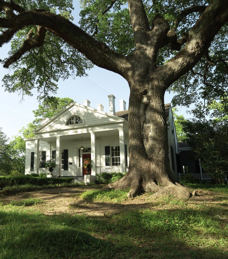 Twin Oaks Inn Natchez Kültér fotó